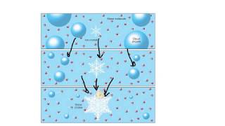 Bergeron processIce Crystal TheoryExplained [upl. by Julieta]