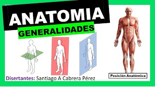 ▌ANATOMÍA ▌INTRODUCCIÓN Y GENERALIDADES Posición Anatómica  Planimetria ▌💀 [upl. by Jit]