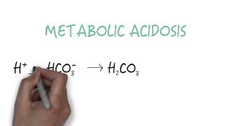 Bicarbonate  The Primary Buffer [upl. by Thorsten]