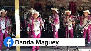 Banda Maguey  Como la Luna [upl. by Lilahk]