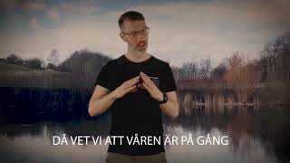 VÅREN ÄR PÅ GÅNG [upl. by Adnima]