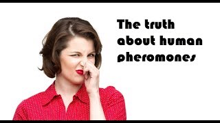 The truth about human pheromones [upl. by Reisch]