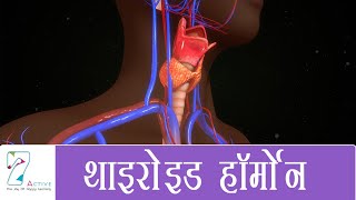 थाइरोइड हॉर्मोन  Thyroid Hormones  Hindi [upl. by Ollopa]