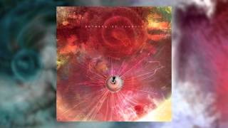 ANIMALS AS LEADERS  The Woven Web [upl. by Lomax650]