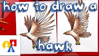 How To Draw A Realistic Hawk [upl. by Enined712]