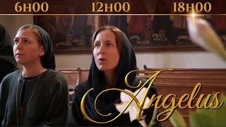 ANGELUS sung in Latin [upl. by Aliakam]