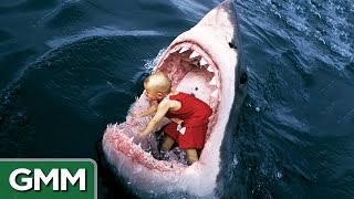 6 Strangest Things Swallowed by a Shark [upl. by Calesta]