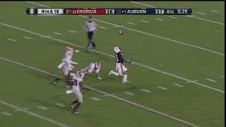 Auburn vs Georgia 2013  Winning TD Auburn Announcers [upl. by Dahs]