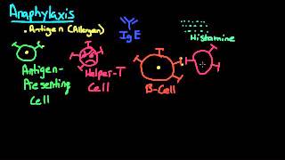 Anaphylaxis Pathophysiology [upl. by Goldi]