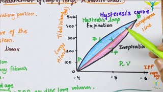 Pulmonary Compliance  lung Compliance  Physiology [upl. by Ystap963]