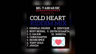 quotCOLD HEART RIDDIMquot MegaMix BIG YARD MUSIC General Degree Busy Signal Chris Martin [upl. by Thomajan]