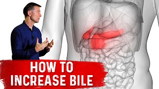 10 Things That Increase Bile Salts [upl. by Pavyer]