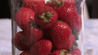 How to extract DNA from strawberries [upl. by Nylyram]