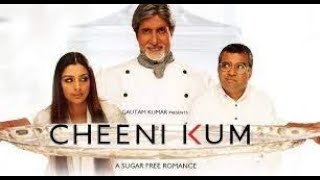 Cheeni Kum Full Movie facts and review  Tabu  Amitabh Bachchan [upl. by Eadie]