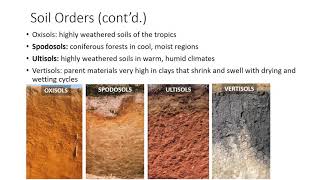 Soil Classification and Survey [upl. by Aissatsan67]