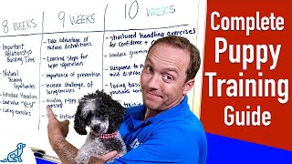 Your Complete Puppy Training Schedule By Age [upl. by Jonathon]