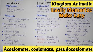 Acoelomate  Coelomate  Pdeudocoelomate  Kingdom Animalia  Class 11 [upl. by Inalawi]