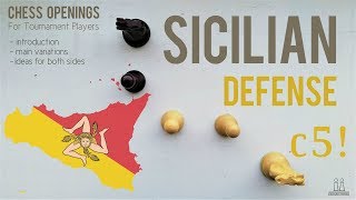 Sicilian Defense introduction ideas amp variations ⎸Chess Openings [upl. by Arahc]