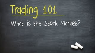 Trading 101 What is the Stock Market [upl. by Nnayrrehs]