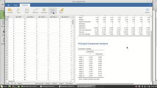 Análisis factorial y de confiabilidad en jamovi [upl. by Aleris436]