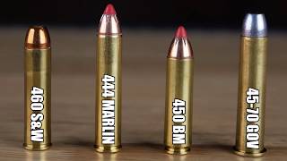 Big Bore Cartridges Compared Velocity Tests and more 460 SampW vs 444 Marlin vs 450 BM vs 4570 Govt [upl. by Sadonia300]