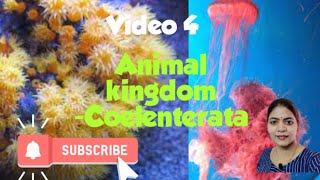 Animal kingdom l phylum coelenterata l Class 11 NCERT NEET Biology chapter 4 l [upl. by Pretrice577]