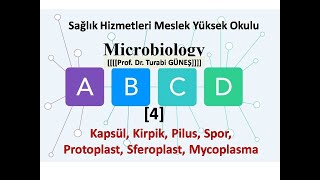 Temel Mikrobiyoloji 4 [upl. by Omor]