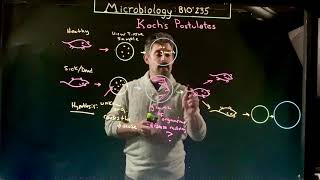 Koch’s Postulates [upl. by Aig810]