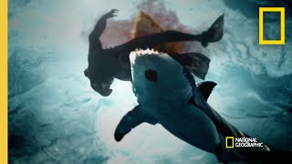 A String of Shark Attacks in San Diego  When Sharks Attack [upl. by Lenee524]