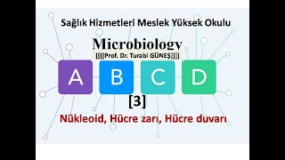 Temel Mikrobiyoloji 3 [upl. by Lorelle]