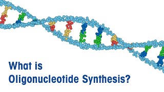 What is Oligonucleotide Synthesis [upl. by Repip]