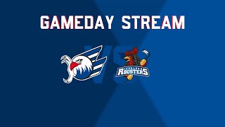 GamedayStream Adler Mannheim  Iserlohn Roosters [upl. by Afinom]