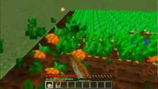 Minecraft How To Farm Carrots And Potatoes [upl. by Adnawot]