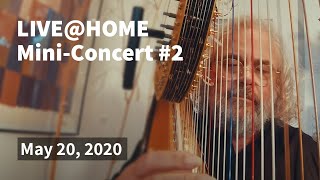 Andreas Vollenweider  LIVEHOME  MiniConcert 2 [upl. by Rodavlas]