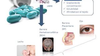 Tema 3 FARMACOCINÉTICA Distribución [upl. by Arrac]