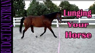 Lunging My Horses [upl. by Faro]