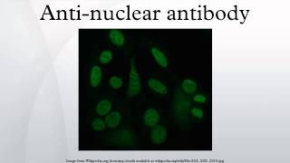 Antinuclear antibody [upl. by Anailuj]