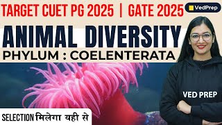 Animal Diversity  Phylum Coelenterata  CUET PG 2025  GATE 2025  VedPrep Biology Academy [upl. by Fredericka]