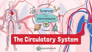 Science with Grammarsaurus  The Circulatory System [upl. by Brinn]