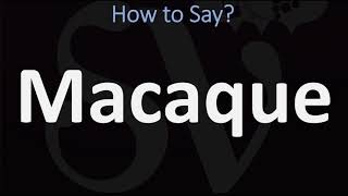 How to Pronounce Macaque CORRECTLY [upl. by Anoiek]