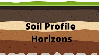 Soil Profile and Soil Horizons [upl. by Kristos]