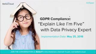 GDPR Compliance “Explain Like I’m Five” with Data Privacy Expert [upl. by Jaynes]