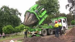 Tree Transplanting with ArborCo Melbournem4v [upl. by Joliet]