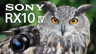 Sony RX10 Mk IV Review Ultimate Fixed Lens Camera [upl. by Yona]