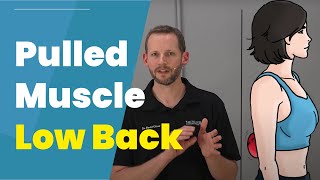 Back Pain Relief Exercises in 5 Min [upl. by Iznekcam]