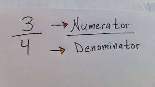 Fractions with Numerator and Denominator [upl. by Tigirb]