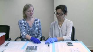 How to Use the Alere Filariasis Test Strip FTSEnglish 04 [upl. by Ennoirb212]