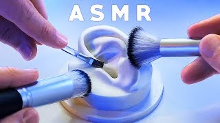 ASMR XXL Brushing amp Brushes ONLY Compilation NO TALKING Tingle Study Sleep Relax [upl. by Jeremiah]