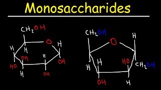 Monosaccharides  Glucose Fructose Galactose amp Ribose  Carbohydrates [upl. by Ldnek]