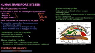 Grade 10 Life Sciences Human Transport System Part 1 [upl. by Enuj]